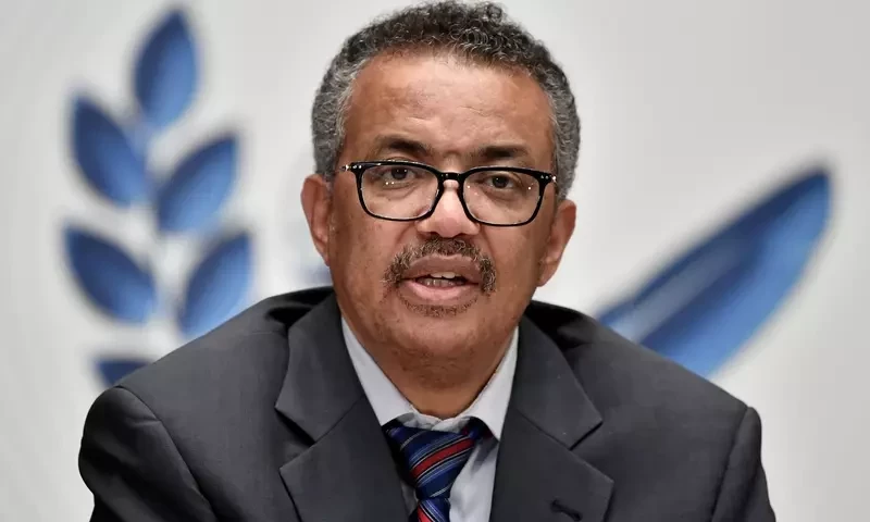 WHO calls on China for &lsquo;full access&rsquo; for Covid investigators: report