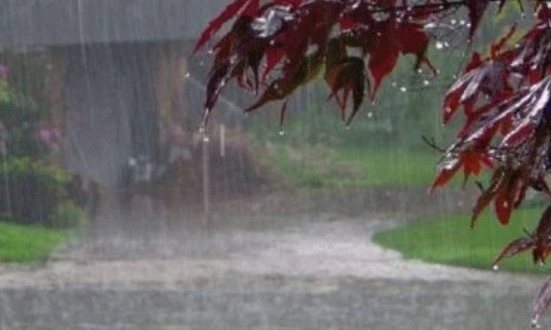 Rain, thunderstorms, snowfall expected in different parts of Pakistan
