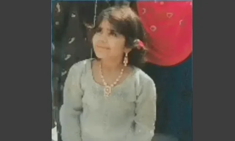 Ranipur murder case: Prime suspect Hina Shah arrested outside court
