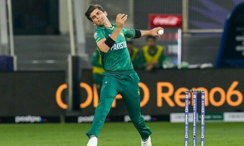 &lsquo;I even wore cricket pads in bed&rsquo;: How Shaheen rose to greatness