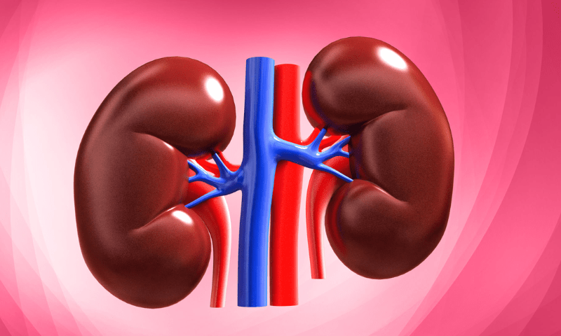 Police arrest motor mechanic involved in illegal kidney transplants