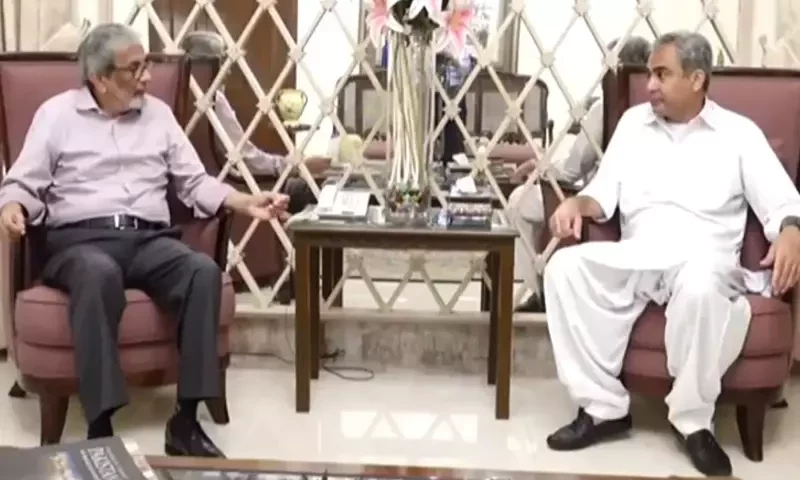 Sindh, Punjab to conduct simultaneous operation in riverine areas