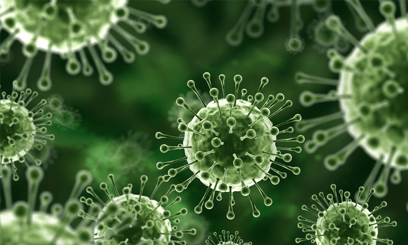 Punjab issues alert for Nipah virus which can kill upto 74% patients