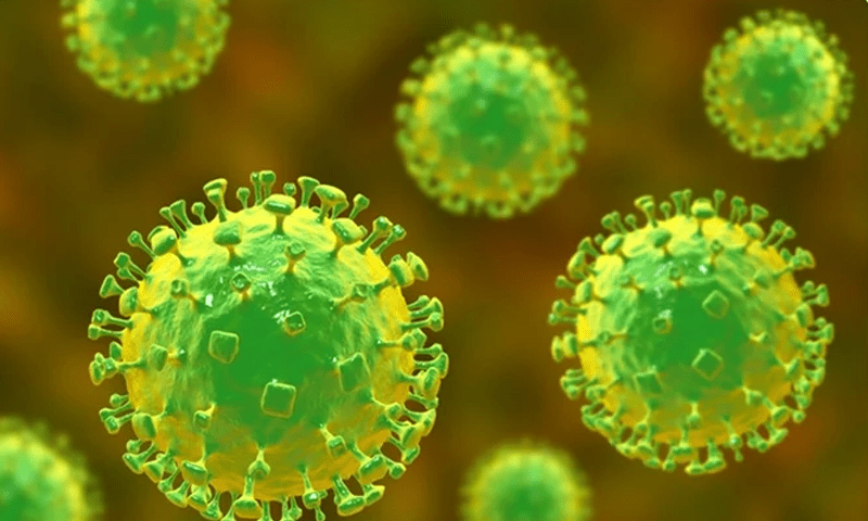 Alarm in Sindh over Nipah virus after Punjab issues alert