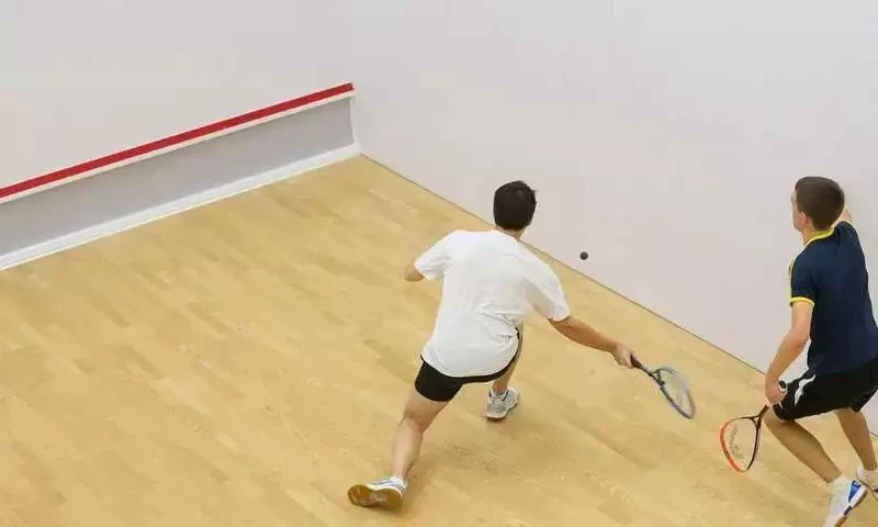 Squash desperate to get into Olympics 2028