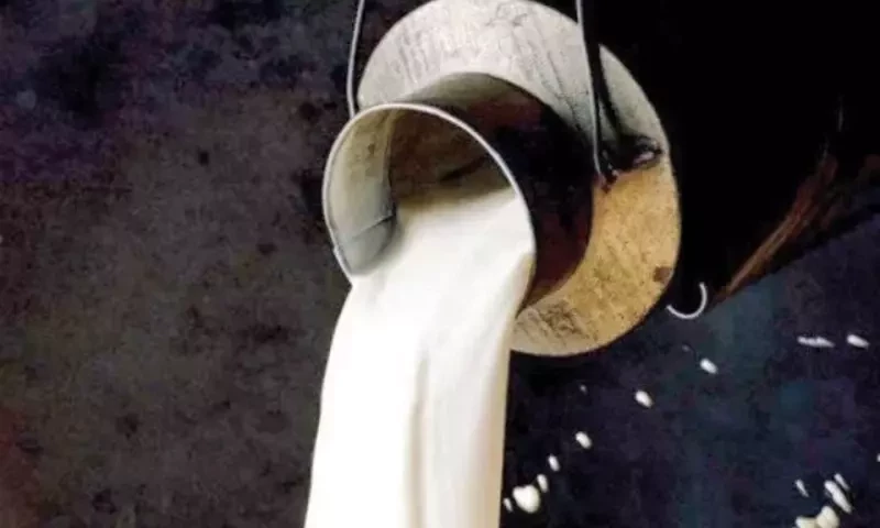 Milk rates increase in Karachi by Rs20