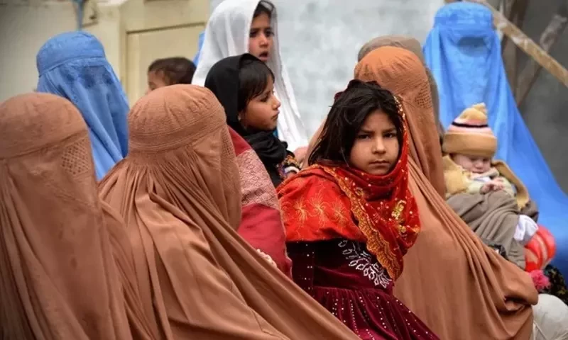 Committees constituted for geofencing of Afghan nationals&rsquo; businesses in KP