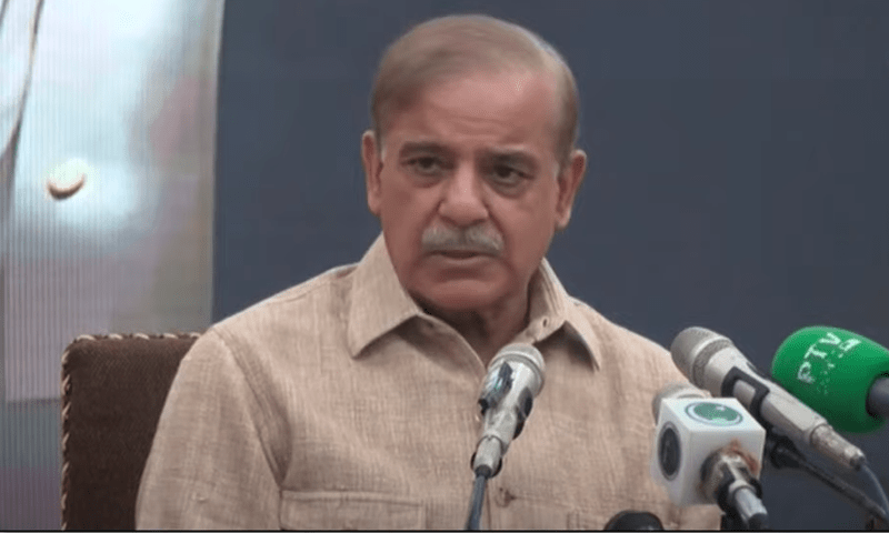 Nawaz to present economic plan, says Shehbaz