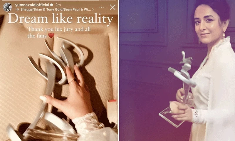 Yumna Zaidi walked away with the Best TV Female Actor at LSA