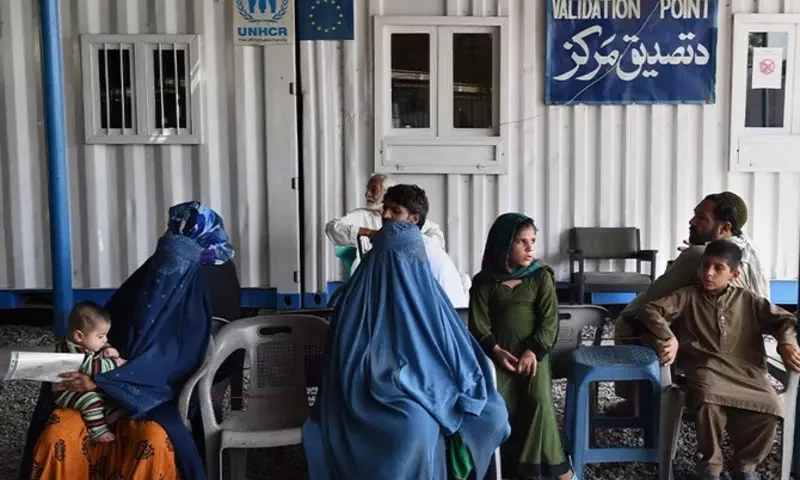 UN agencies offer support for Afghan nationals&rsquo; registration in Pakistan