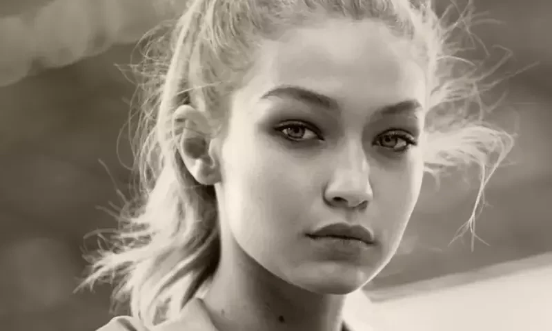 Supporting Palestine does not equate to being anti-Semitic, says Gigi Hadid