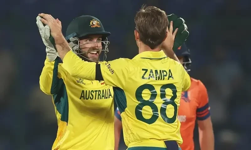 World Cup 2023: Australia thump Dutch by 309 runs