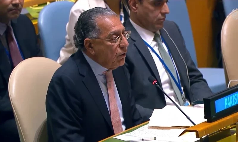 Pakistan&rsquo;s UN envoy hailed for saying &lsquo;Israeli occupation is the original sin&rsquo;