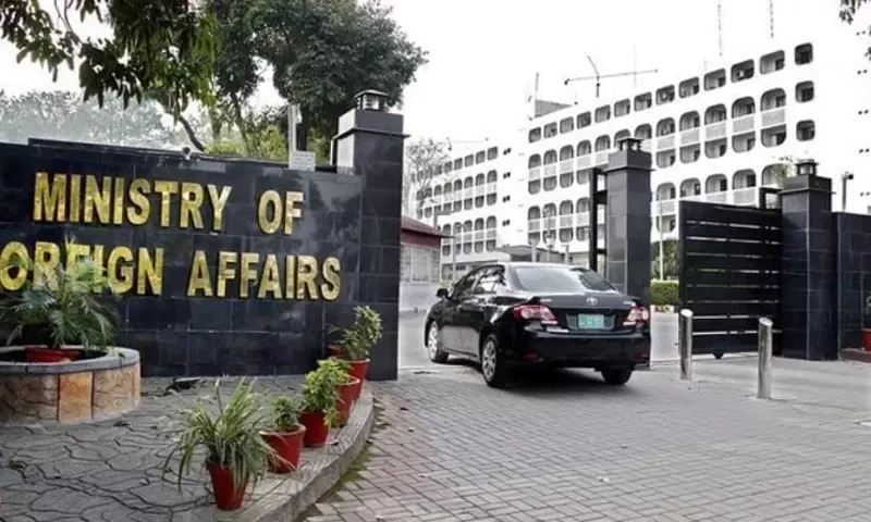 Illegal foreigners repatriation plan applies to all nationalities: FO