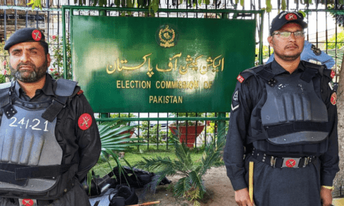 ECP reserves decision on petition against two caretaker ministers