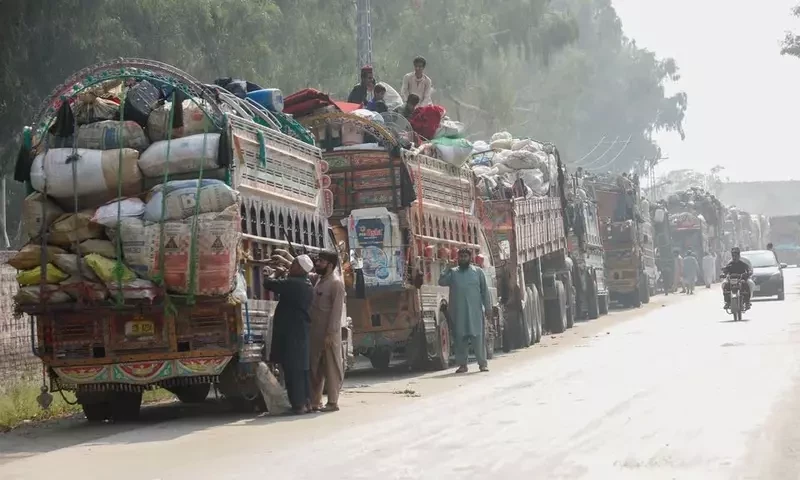 Pakistan to crack down on undocumented immigrants from Nov 2: minister