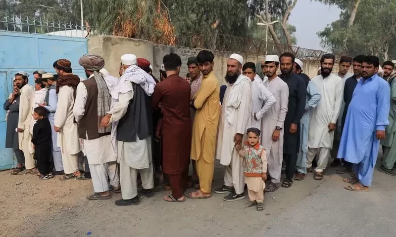 Pakistan urged to identify, protect thousands of at-risk Afghans: sources