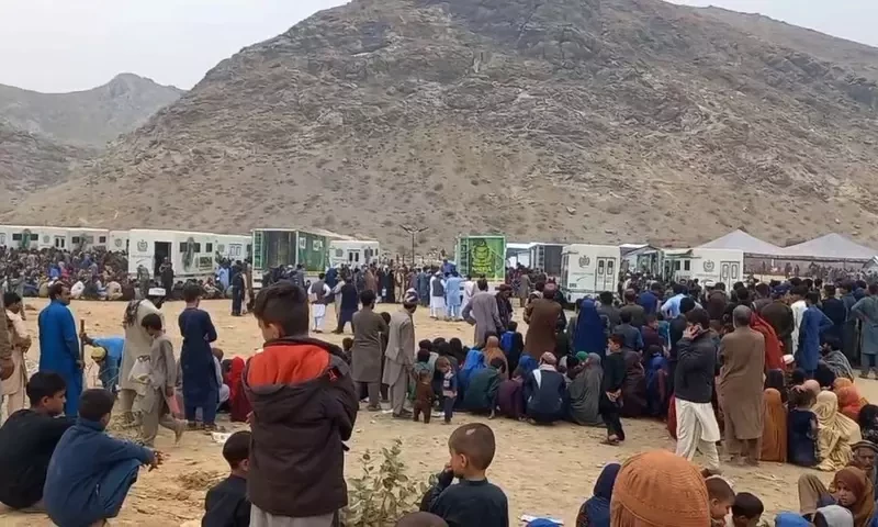 Illegal immigrants taken to holding centers amid crackdown