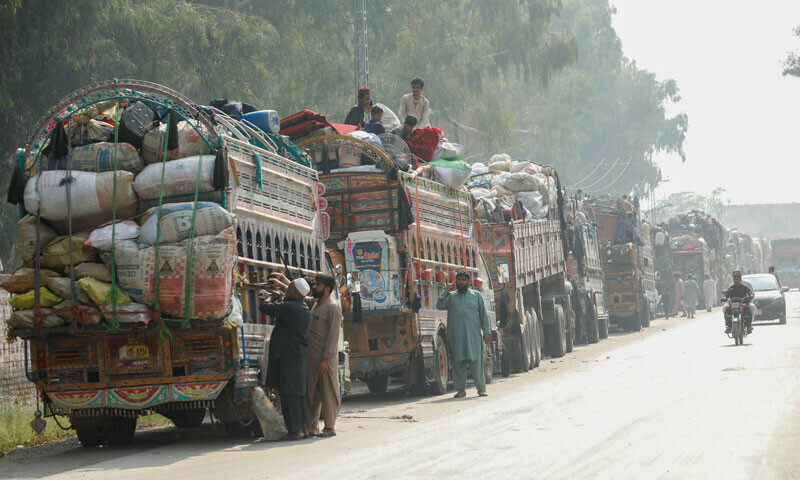 Expulsion of illegal immigrants continues