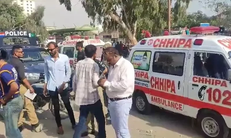 Three foetuses found in Karachi&rsquo;s garbage dump