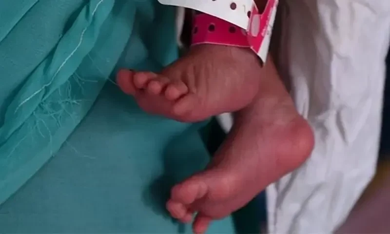 FIR lodged for leaving three foetuses in Karachi&rsquo;s garbage dump