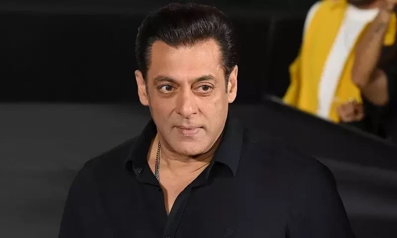 &lsquo;Tiger&rsquo; Salman urges fans to avoid fireworks inside theaters