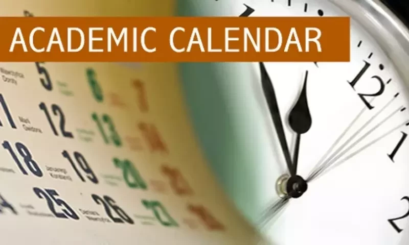 Sindh education dept reveals academic calendar for 2024