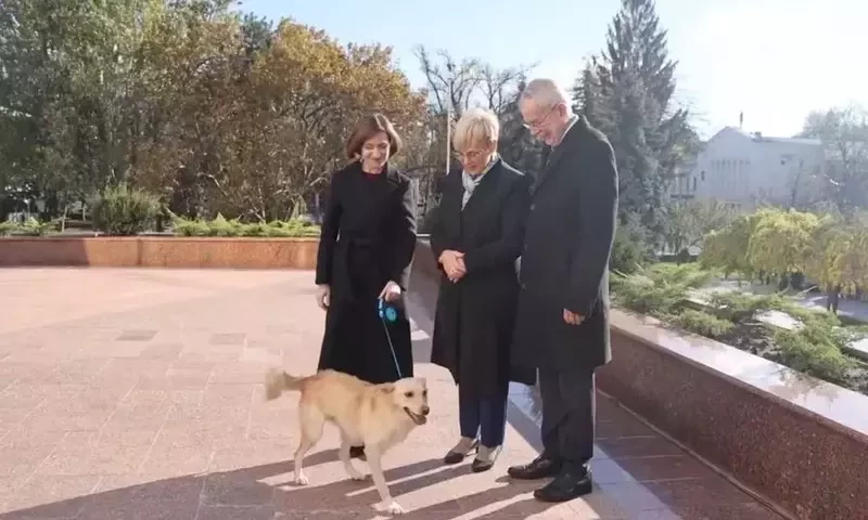Moldovan dog bites man - but this time, a president