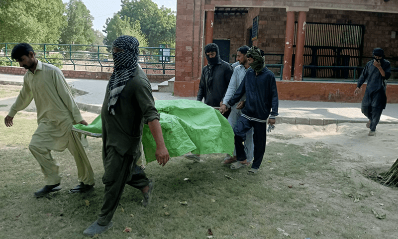 Lioness dies after illness in Bahawalpur