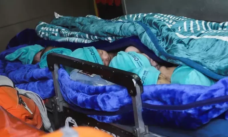 Medics transfer 28 premature babies from Gaza to Egypt