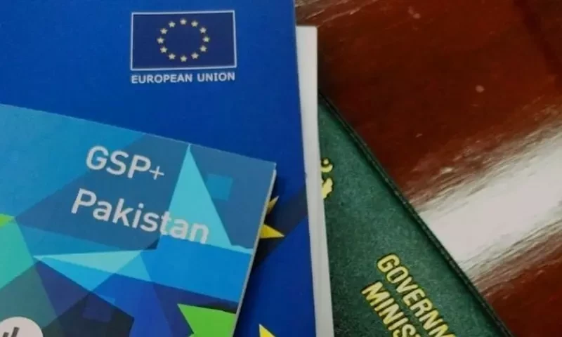 EU urges Pakistan to improve implementation of laws in &lsquo;letter and spirit&rsquo;