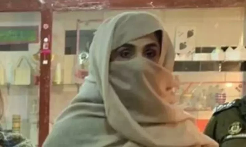 Bushra Bibi withdraws petition to provide details of cases