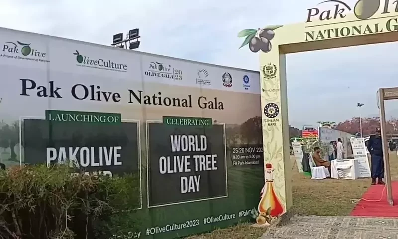 Pakistan launches &lsquo;PakOlive&rsquo; brand to boost purchase of certified-quality olive oil