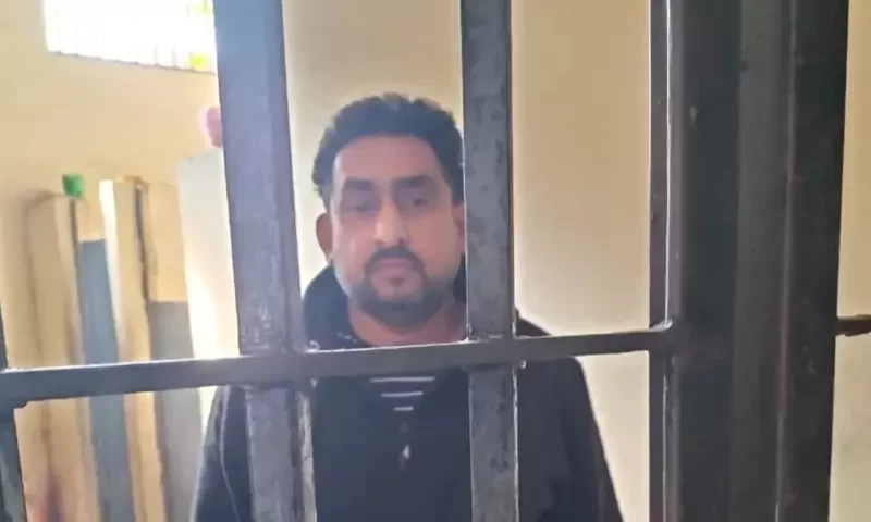 Lahore police arrest man in maid torture case