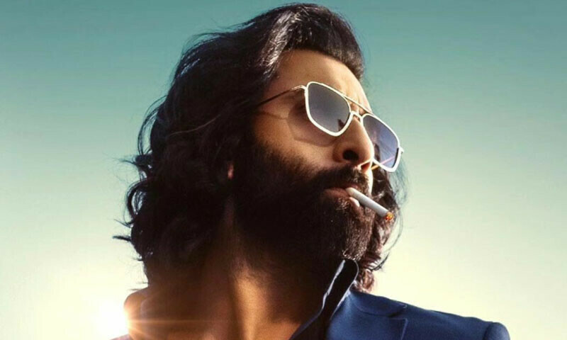 People are divided about Ranbir&rsquo;s &lsquo;Animal&rsquo; despite its strong box office reports