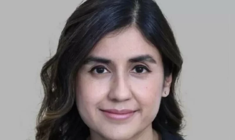 Timeline of the Sarah Inam case