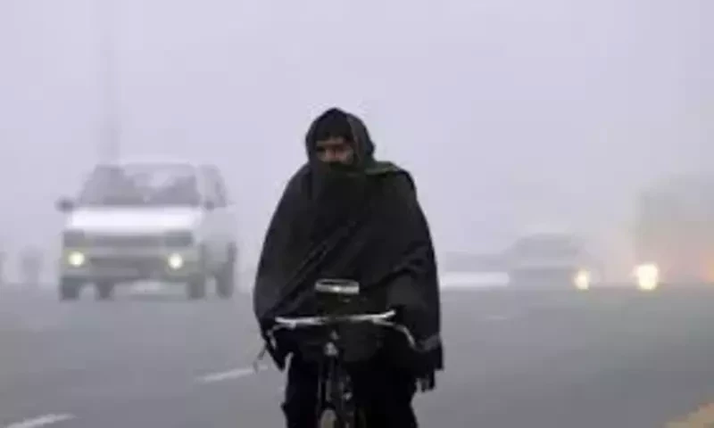 Cold wave likely to grip country from today