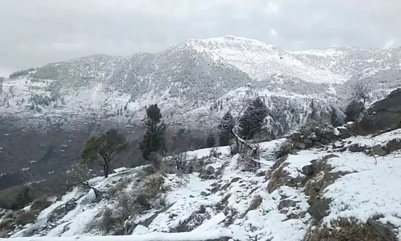 Snowfall blankets upper areas in Chitral, Upper Dir