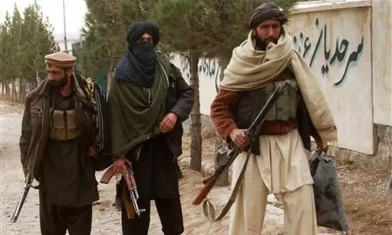 Afghan official claims arrests of 40 TTP members in one year: Afghan media