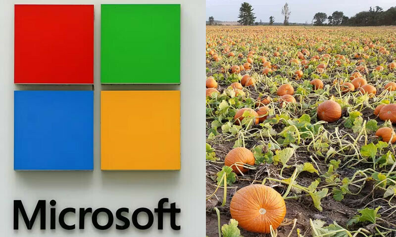 Microsoft buys Pumpkin farm&rsquo;s land to build data centre