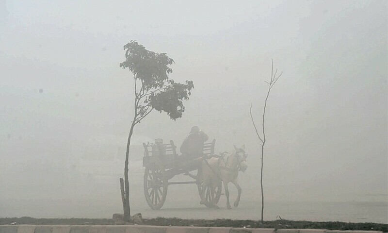 Thick fog raises risk of accidents in Punjab