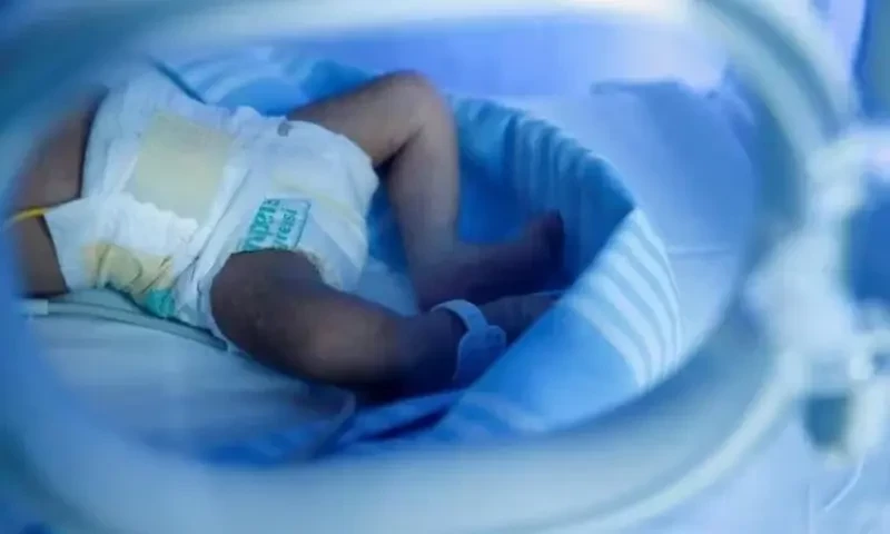 Having children should be women&rsquo;s main mission, says Italy&rsquo;s ruling party senator