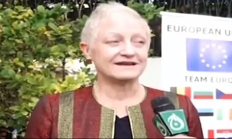 EU sees elections as a &lsquo;test&rsquo; for Pakistan, plans to send smaller observer group: Ambassador
