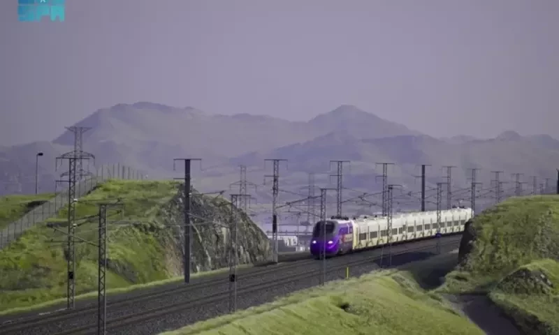 Makkah turns green as vegetation cover records 600% increase