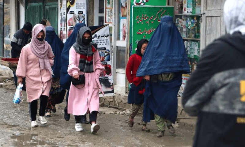 Afghan women getting education online despite risks