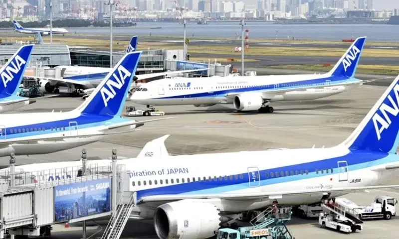 US passenger bites cabin attendant mid-flight