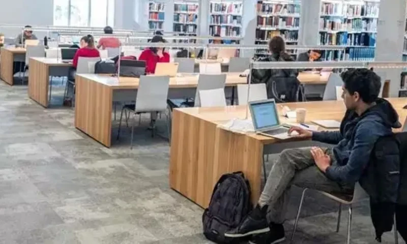 Canada allows digital nomads to work on visit visa