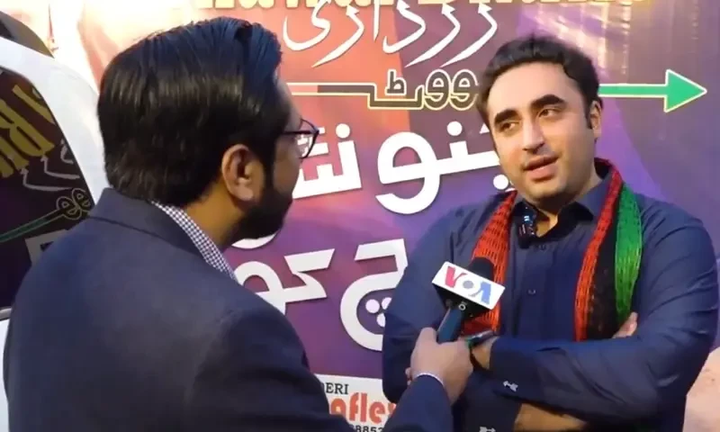 PPP contesting elections on its own: Bilawal