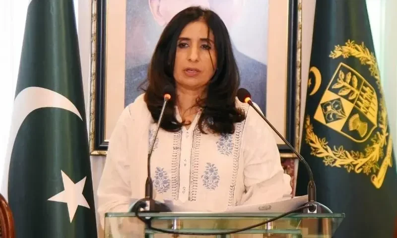 Pakistan committed to fostering democratic process: FO