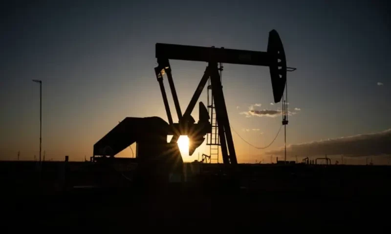 Oil slips after large US crude stock build